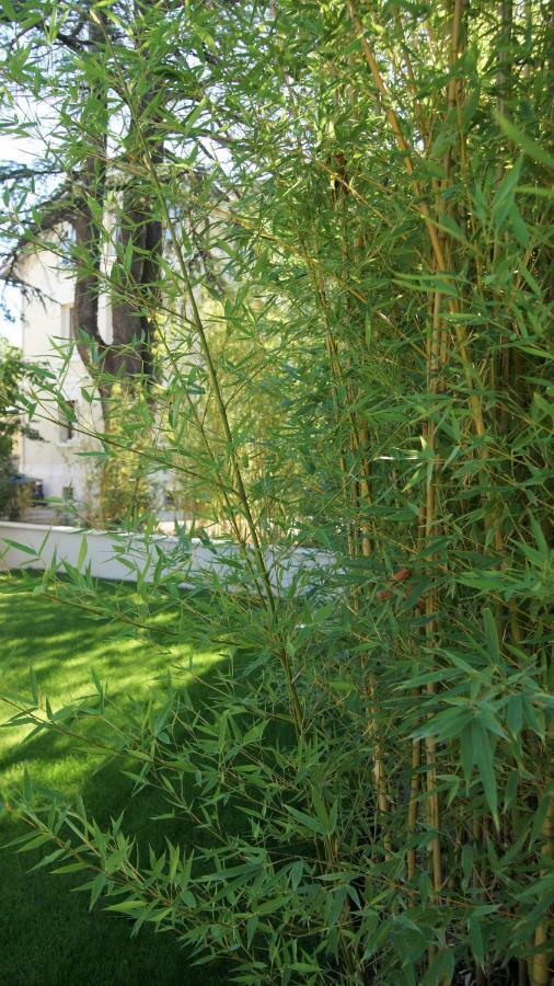 Hotel De Charme L'Oree Du Parc Romans-sur-Isère Eksteriør billede